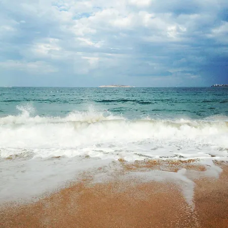 Summer Houses Gardenby The Sea * Tschernomorez