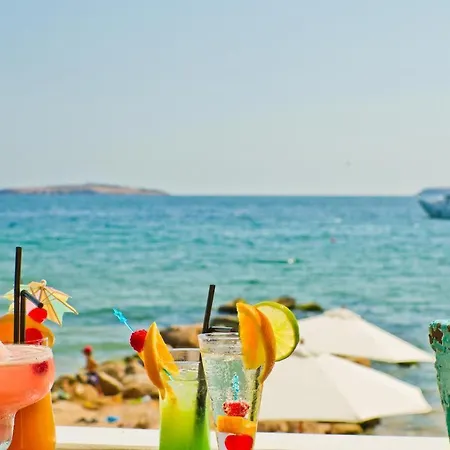 Summer Houses Gardenby The Sea Tschernomorez