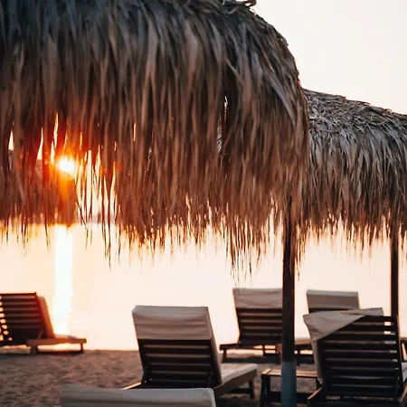 Summer Houses Gardenby The Sea * Tschernomorez